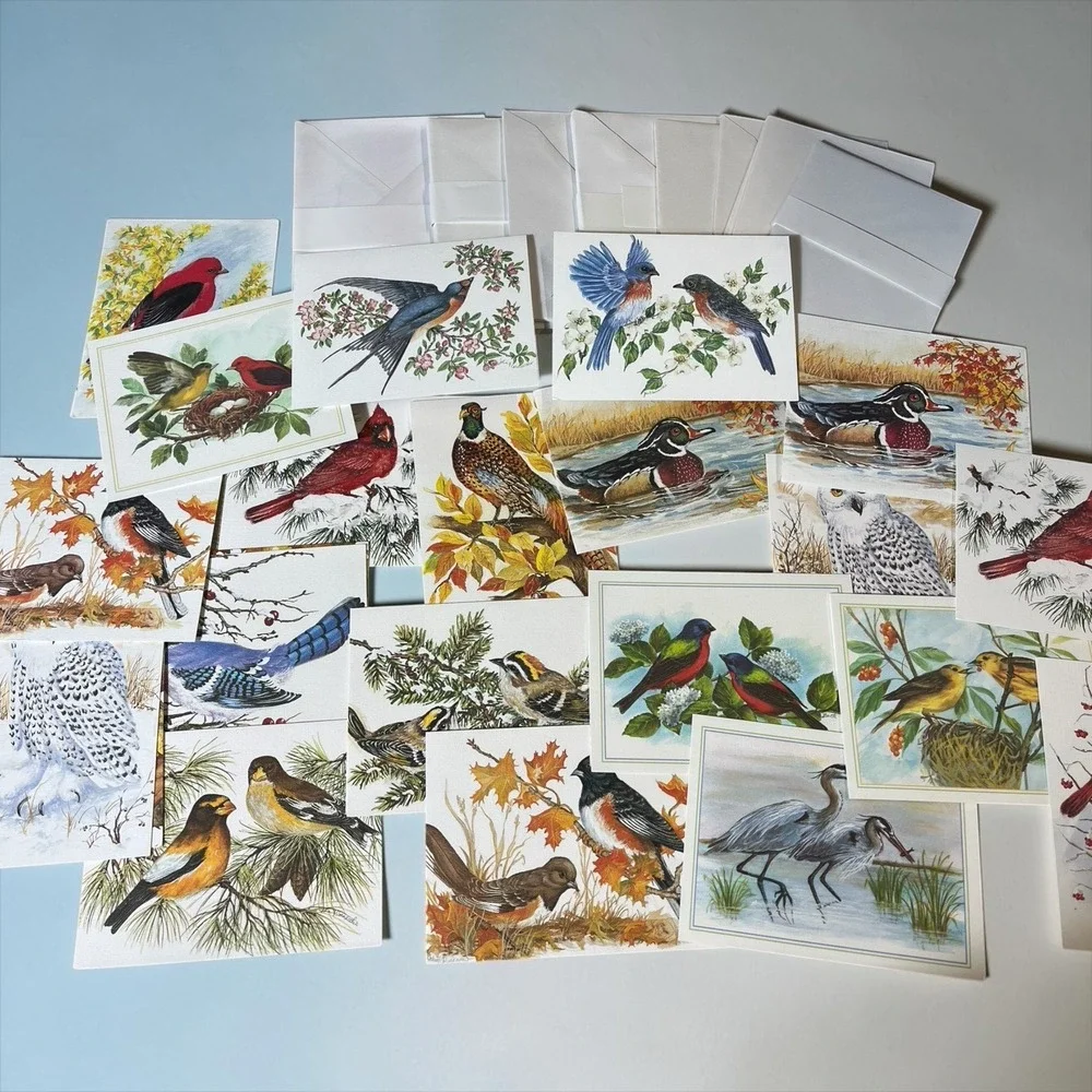 Birds Bird Notecard Card Lot w/ Envelopes Frameable Art Duck Cardinal Blue Jay